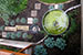 urban farmstead 7