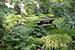 cottage garden spring