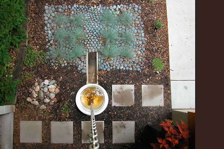 rain garden