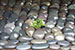 Harts and crafts, stone detail