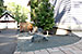 phoenix rising_zen garden