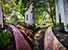 Patio garden rehab